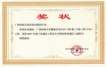 南寧分公司四個(gè)項(xiàng)目獲表彰！