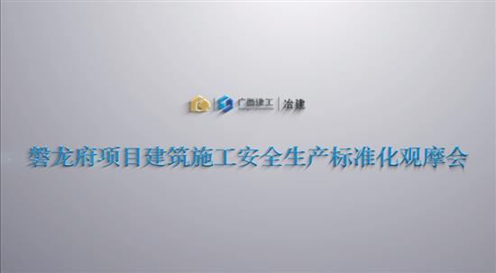 冶建公司磐龍府項(xiàng)目建筑施工安全生產(chǎn)標(biāo)準(zhǔn)化觀摩會